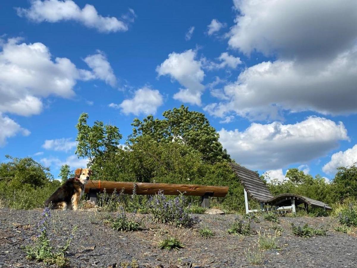Ferienwohnungen Bauernschmause Polch Bagian luar foto